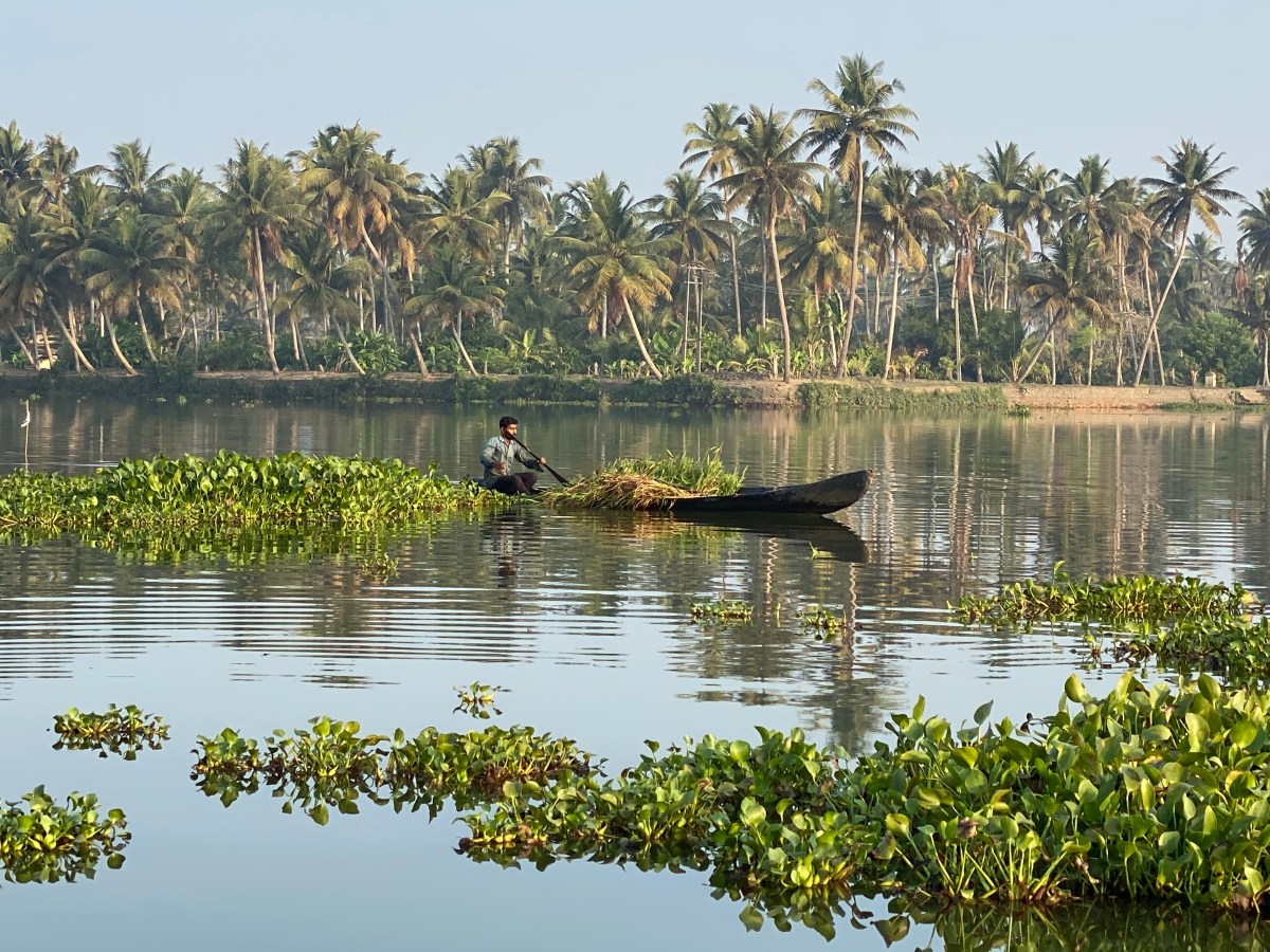 Backwaters de Kerala